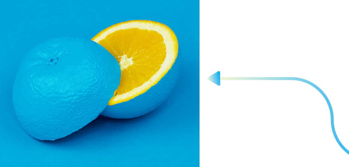 How to Establish a Brand Voice