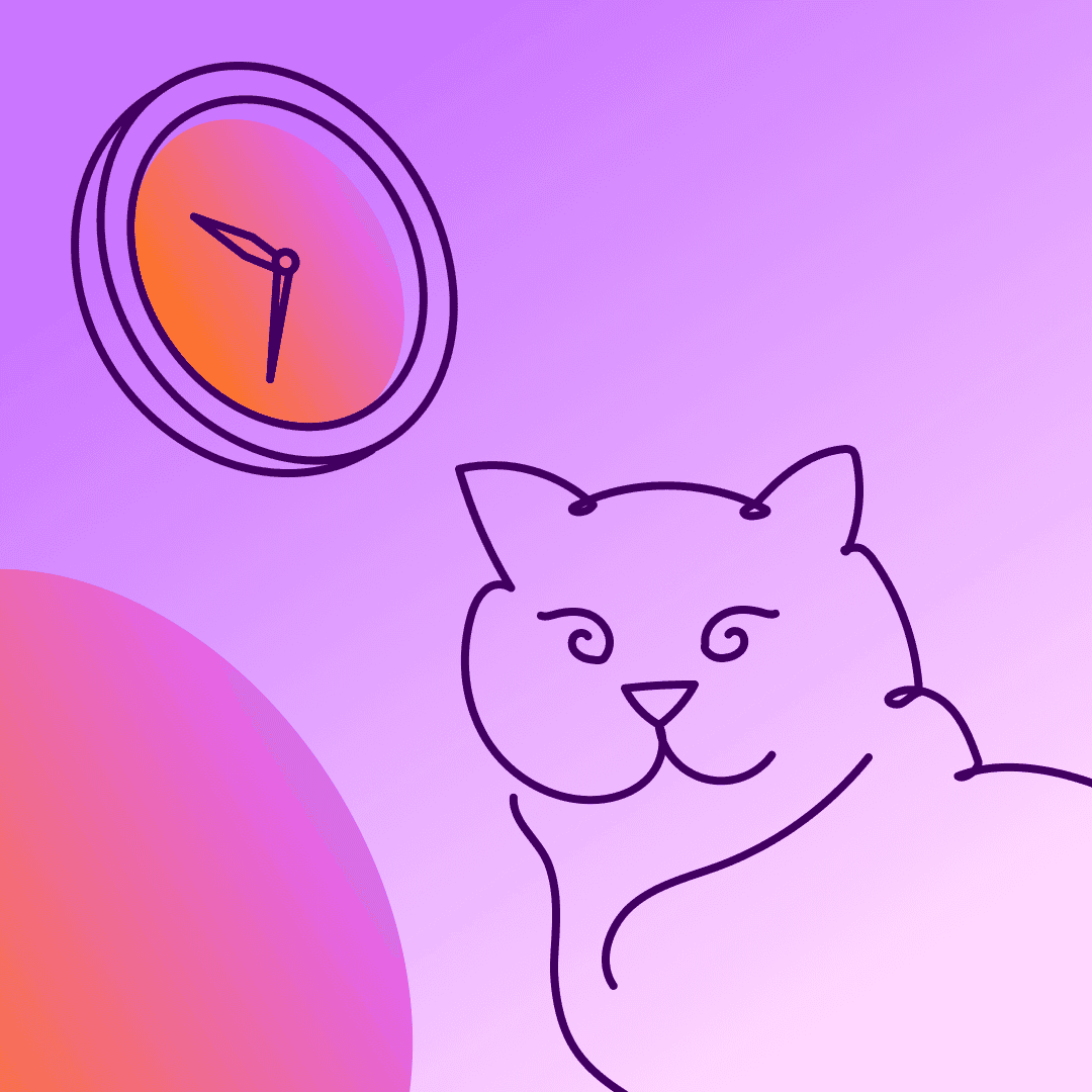 Best Times to Post on Instagram