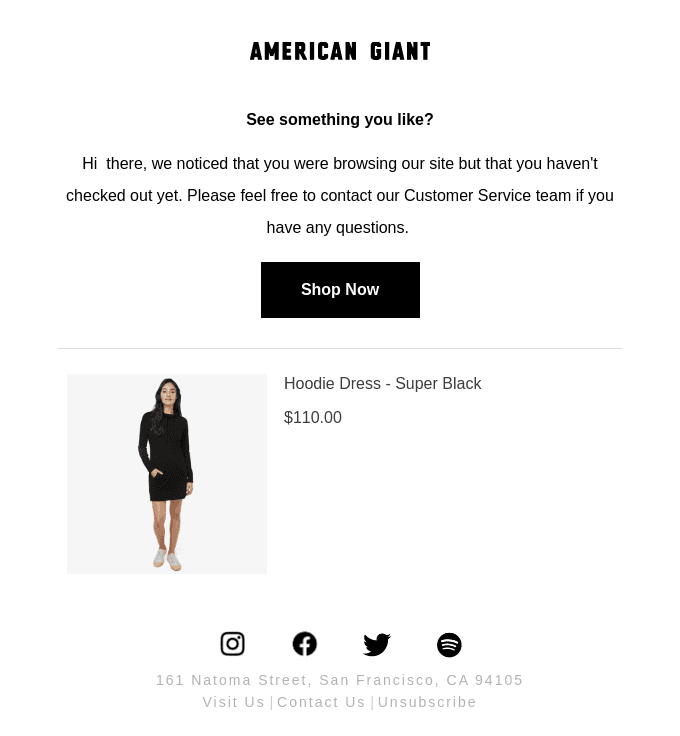 American Giant email example