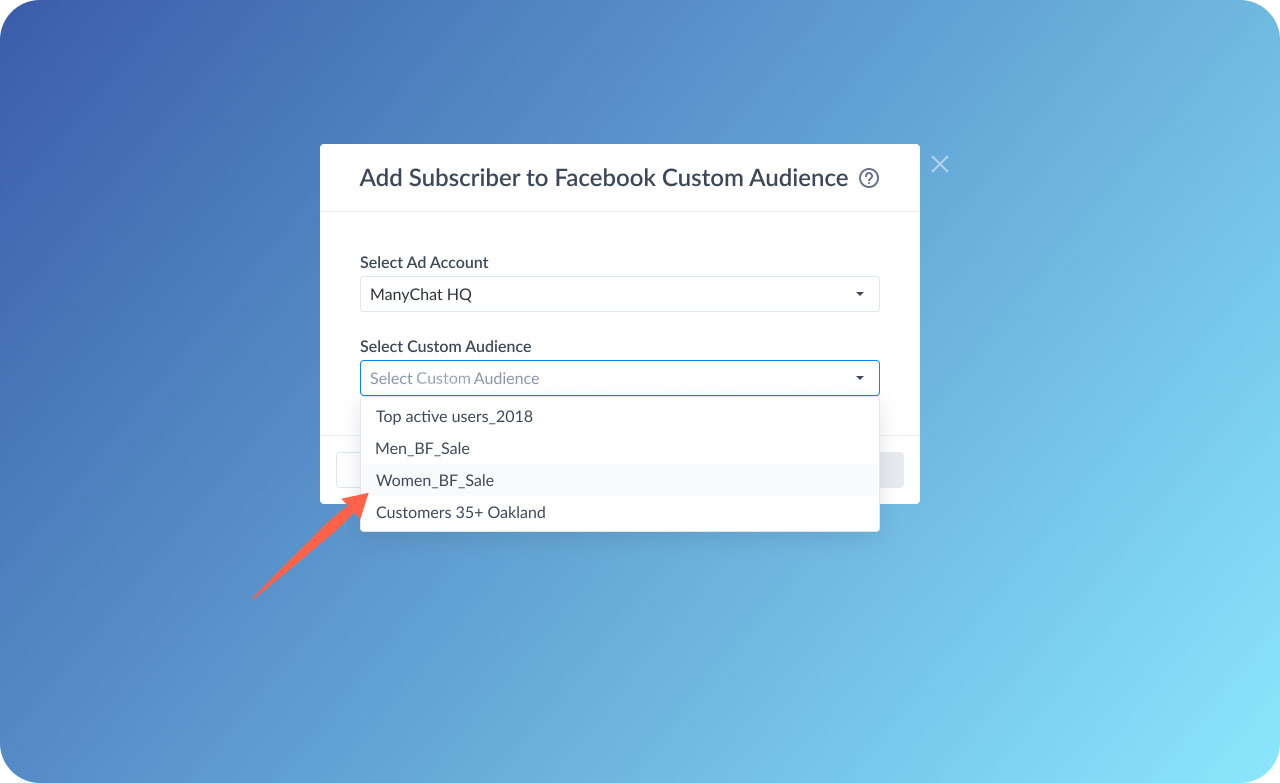 Choose the custom audience you'd like to add subscribers to