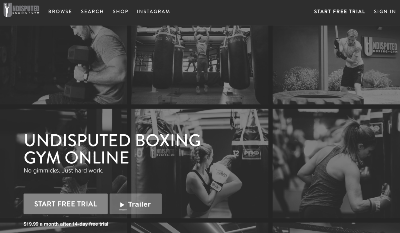 Online Marketing Strategies for Gyms - Undisputed Boxing Gym Online