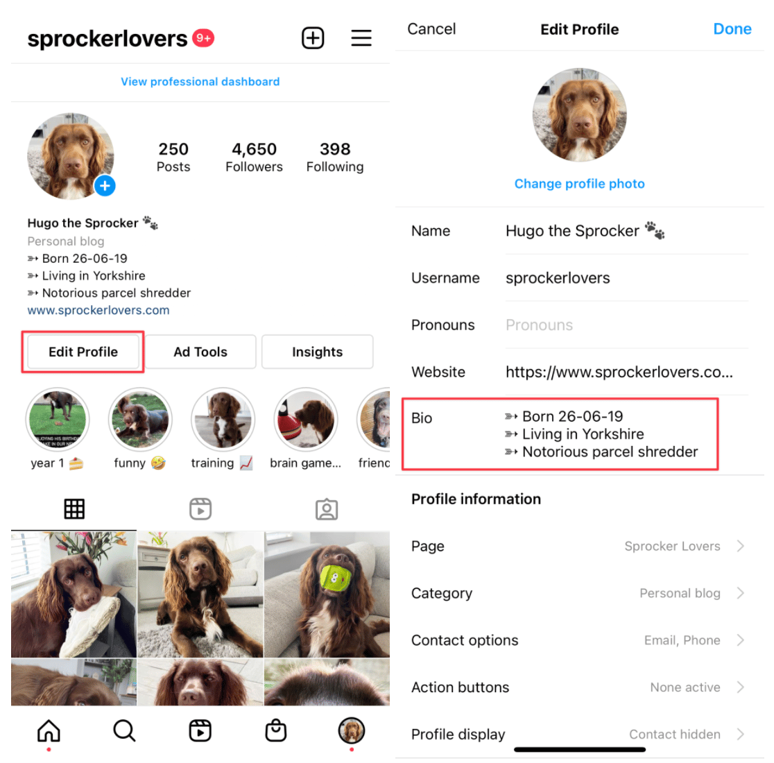 how to edit instagram bio