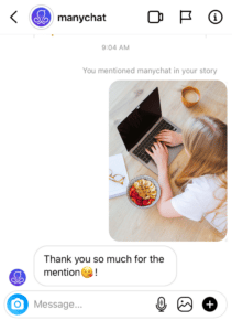 Instagram story reply